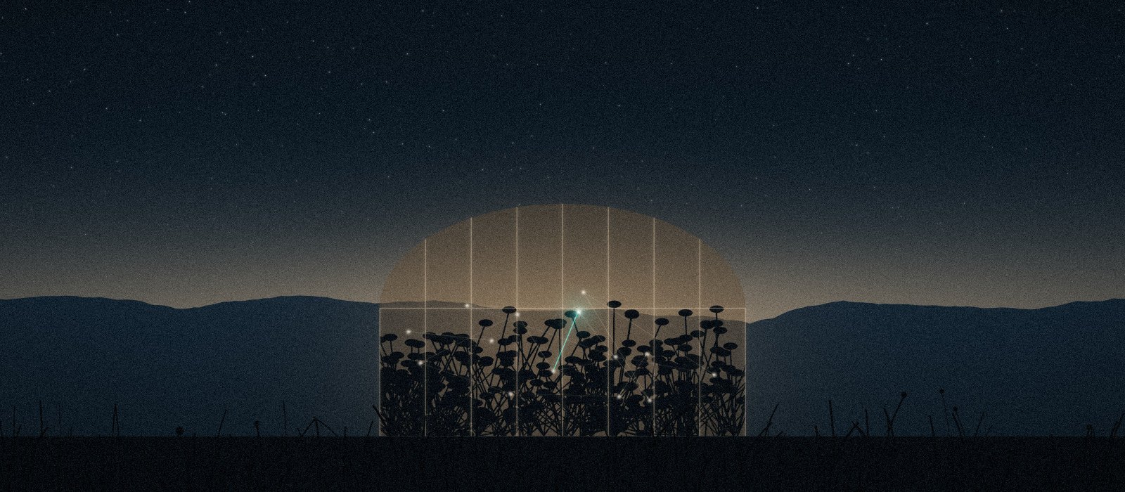 Threads of light between plants inside a glass greenhouse at night, one thread teal